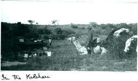 Kalahari, 1915. Trooper with camel in the Kalahari during World War One.