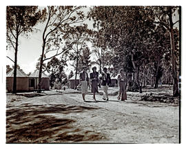 "Aliwal North, 1938. Tree-lined road with rondavels in the barckground."