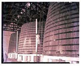 Paarl, 1960. Measuring the level in large wine vat.