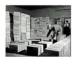 Paarl, 1945. KWV distillery. Placing bottles in boxes.