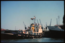 Port Elizabeth. SAR tug 'Willem Heckroodt' and 'Sezela' in Port Elizabeth Harbour. [J Hamman / S ...