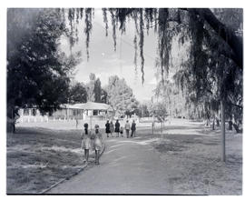 "Kroonstad, 1946. Public park."