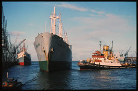 Port Elizabeth. SAR tug 'CF Kayser' with 'Nopal Vega' in Port Elizabeth Harbour. [HT Hutton]