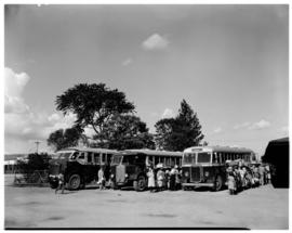Louis Trichardt, 1953. SAR Albion buses.