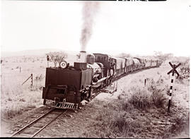 Estcourt district, 1964. SAR Class NGG11 No 55 leaving Stanley heading towards Deep Kloof.on the ...