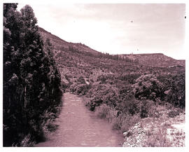 "Nelspruit district, 1972. River near Ngodwana."