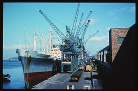Cape Town, November 1969. 'Mormactrade' berthed in Table Bay Harbour.