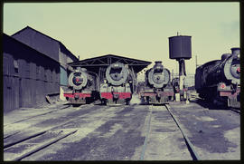 Three SAR steam locomotives.