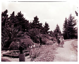 Springs, 1954. Olympia Park.