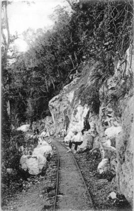 Light railway line in rough rock cutting.