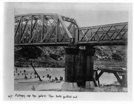 Gamtoos River bridge. Pulling up the piles, the tooth pulled out.