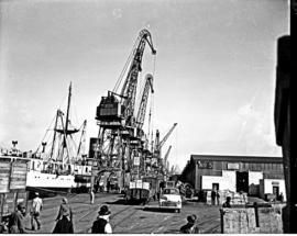 Port Elizabeth, 1948. Loading cranes next to Shed 5 in Port Elizabeth harbour.