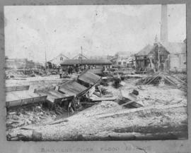 Port Elizabeth, 16 November 1908. Flood damage in the Baakens River Valley.