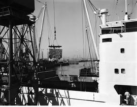 Cape Town, April 1971. Loading apples onto ship.