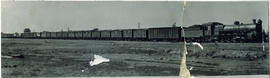 Kimberley, 1926. No 2000 fruit train at Beaconsfield marshalling yard.