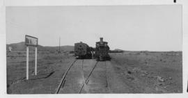 Blood River, 1895. Two trains at station. (EH Short)