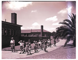 Springs, 1954. English junior school.