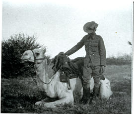 Trooper with camel.