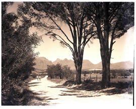 Paarl district, 1952.