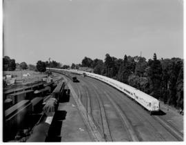 Vryheid, 24 March 1947. Royal and Pilot Trains at staging point