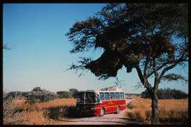 Etosha Game Park, South-West Africa, 1971. SAR Mercedes Benz tour bus game viewing.