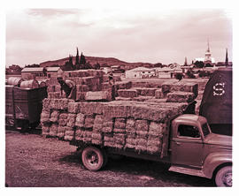 Beaufort West, 1950. Loading lucerne bales from train onto Ford truck.