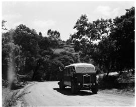 Louis Trichardt district, 1953. SAR Albion three-axle combination bus and truck.