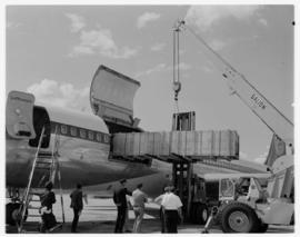 Johannesburg, February 1970. Jan Smuts airport. Cargo being loaded into Lufthansa Douglas DC-8, D...