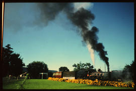 Weenen, 1978. SAR Class NGG13 No 60 at railway station.