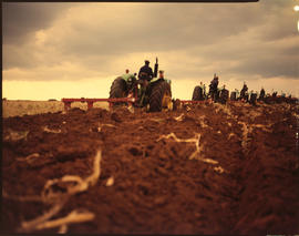 Middelburg, Transvaal, April 1978. Ploughing of mealie field. [Jan Hoek]
