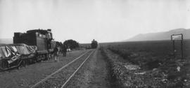 Haasfontein, 1895. Two trains at crossing loop with Cape 4th Class, later SAR Class 04 on the lef...