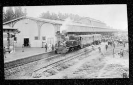 Johannesburg. Train headed by a NZASM 40 Tonner No 55  'Van Riebeeck' at Park station.