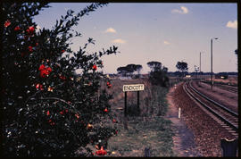 Springs district, December 1988. Garden at the entrance to Endicott railway station.