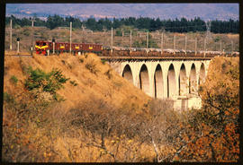 
Goods train on concrete arch bridge.
