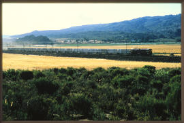 
Container train at siding in wheat field.
