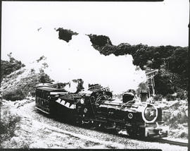 Port Elizabeth district, 1977. SAR locomotive Apple Express travelling over Van Stadens bridge