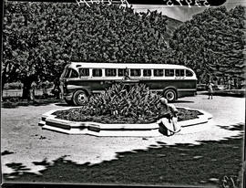 Hermanus, 1948. SAR Canadian Brill bus No MT6007 in town.
