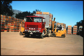 
Forklift loading crates onto SAR ERF No MT80237 truck.

