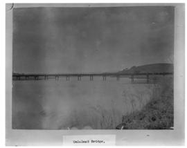 Circa 1902. Construction Durban - Mtubatuba: Umlalazi Bridge. (Album on Zululand railway construc...