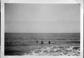 Three men swimming in the ocean.