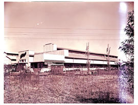 Springs, 1954. Food factory.