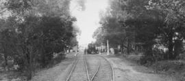Kei Road, 1895. Cape 7th Class No 351 in station with many trees. (EH Short)