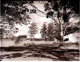 "Pongola district, 1952. Road to Ingwavuma."
