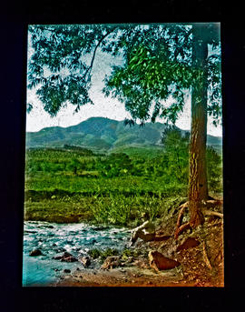 Man next to a river.