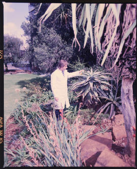 Johannesburg, May 1989. Horticulturist at work. [D Dannhauser]