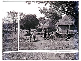 Northern Transvaal, 1946. Bavenda kraal.