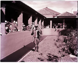 Port Elizabeth, 1951. Snake park.