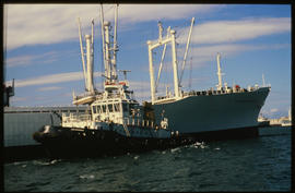 Durban, November 1981. SAR tug 'Ben Schoeman' with 'SA Vergelegen' in Durban Harbour. [CF Gunter]