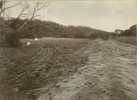 Railway embankment being reconstructed, with damaged tracks next to embankment.