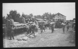 Naboomspruit, 1925. Offloading bags from Dutton road-rail goods train at railway station.